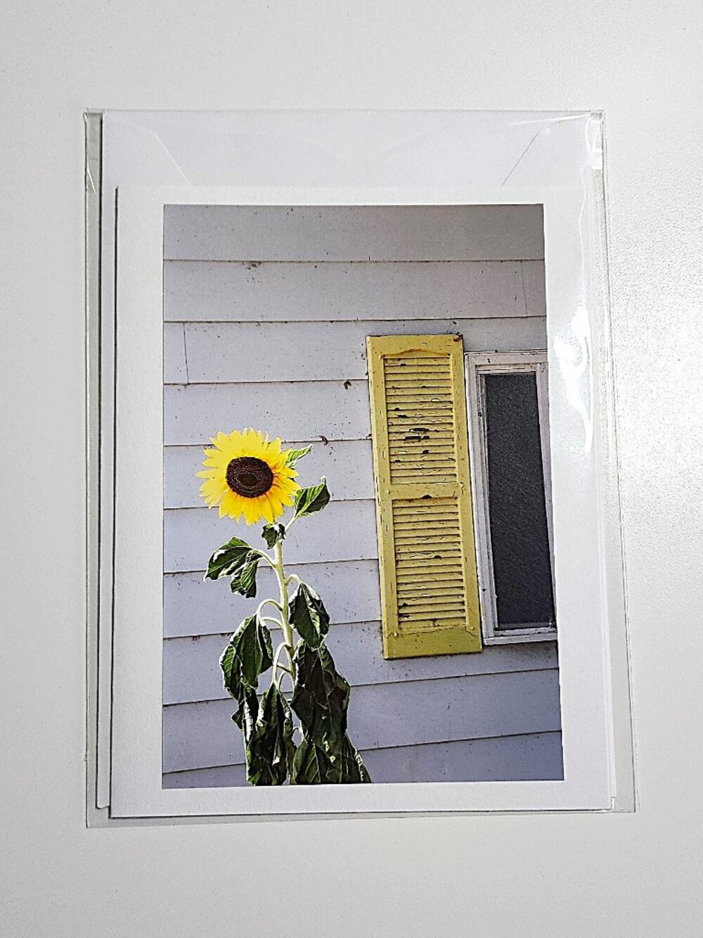 Floral photo greeting cards - Picture 2 of 7
